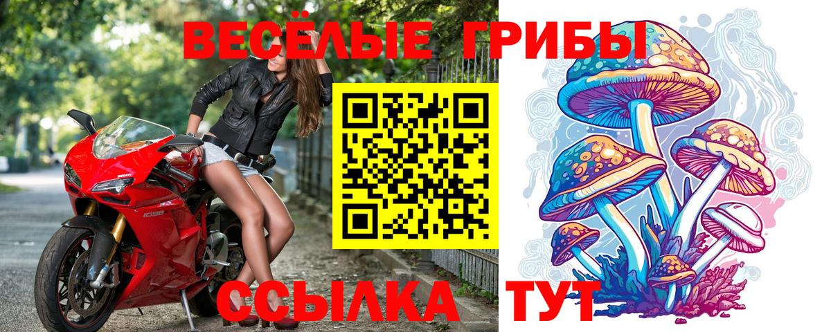 Псилоцибиновые грибы мухоморы Серов