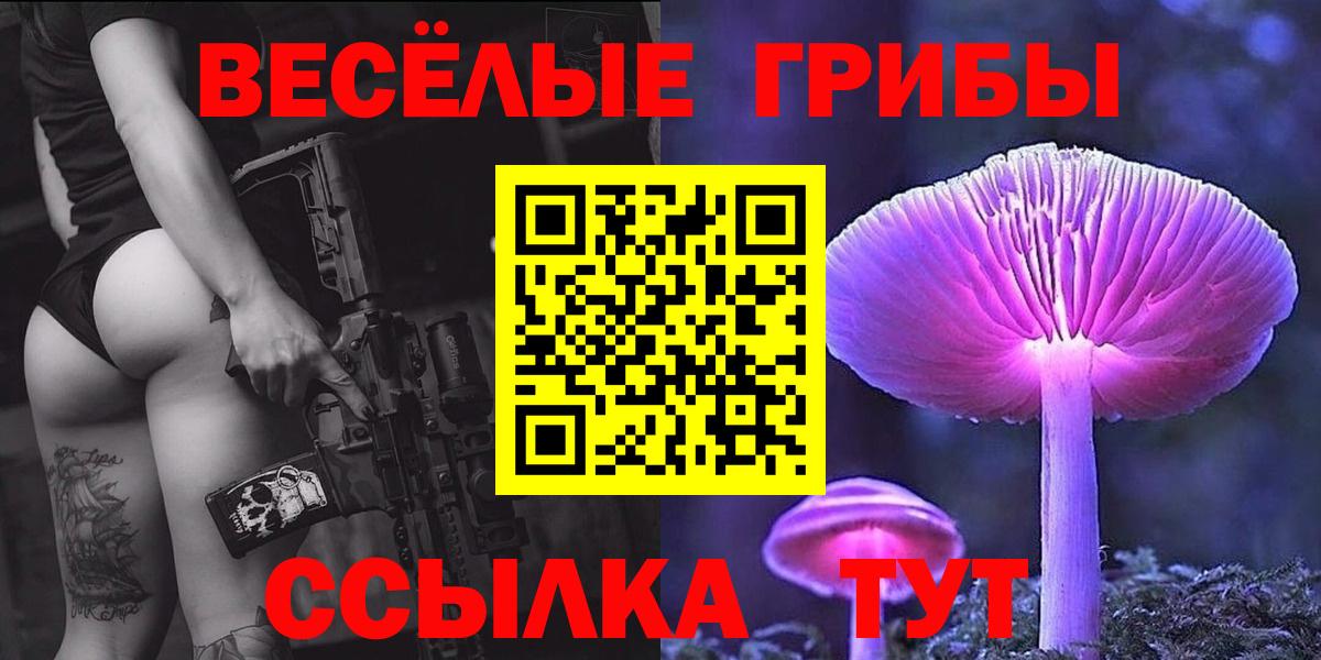 Галлюциногенные грибы MAGIC MUSHROOMS  Вход с VPN  Серов 